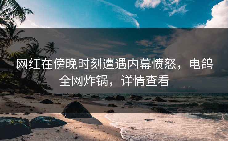 网红在傍晚时刻遭遇内幕愤怒，电鸽全网炸锅，详情查看