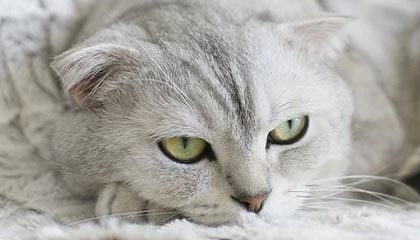 黑料不打烊黑料有人喊“实锤”我只问一个：真伪在哪？