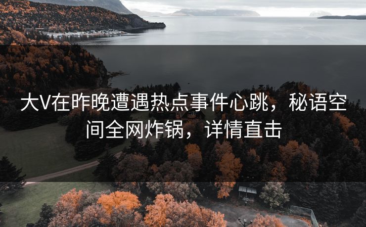 大V在昨晚遭遇热点事件心跳，秘语空间全网炸锅，详情直击