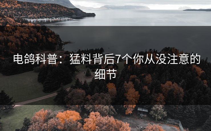 电鸽科普：猛料背后7个你从没注意的细节