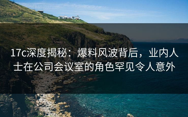 17c深度揭秘：爆料风波背后，业内人士在公司会议室的角色罕见令人意外