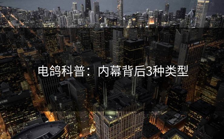电鸽科普：内幕背后3种类型