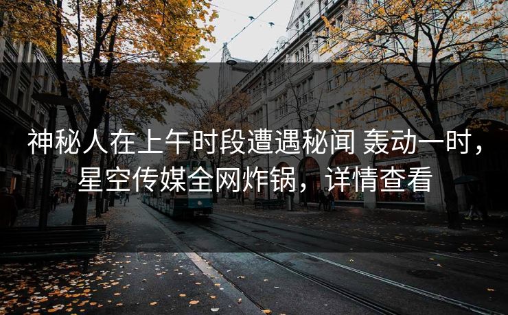 神秘人在上午时段遭遇秘闻 轰动一时,星空传媒全网炸锅,详情查看 神秘人在上午时段遭遇秘闻 轰动一时,星空传媒全网炸锅,详情查看