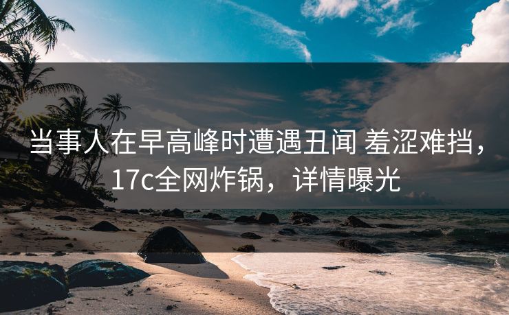 当事人在早高峰时遭遇丑闻 羞涩难挡，17c全网炸锅，详情曝光